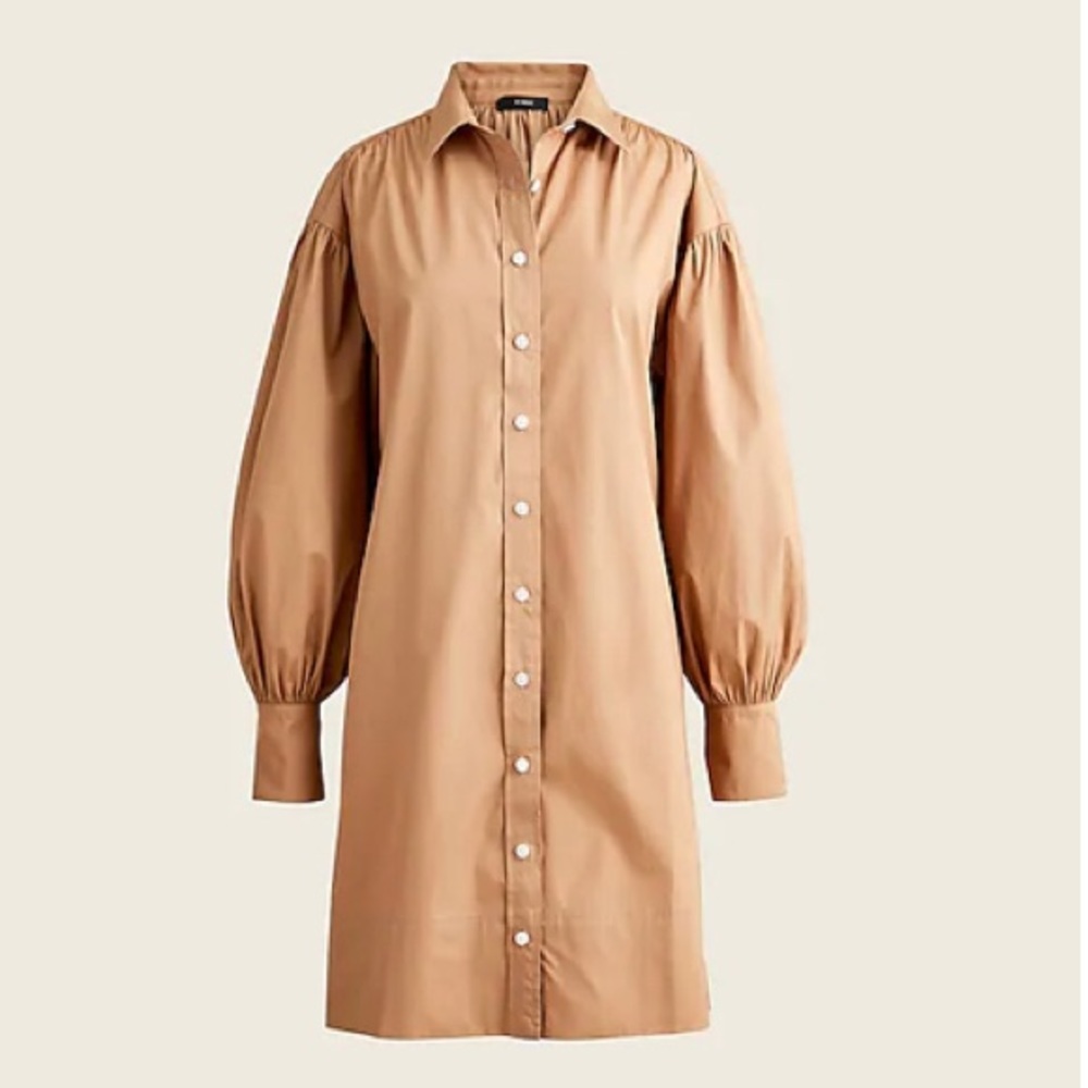 J. Crew Dress